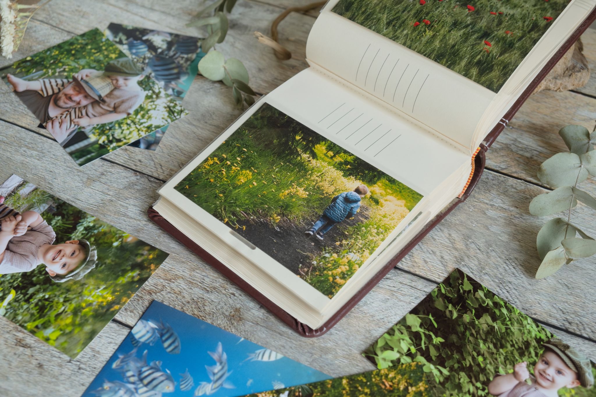 photography photo books